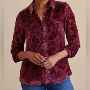SOFT SURROUNDINGS NWT $120 Floreat Velvet Shirt Top in Purple Wine Size XL